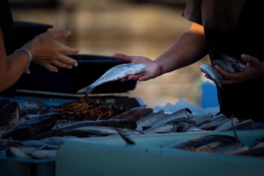 The fishing industry in Sassoon Duck is in crisis.
